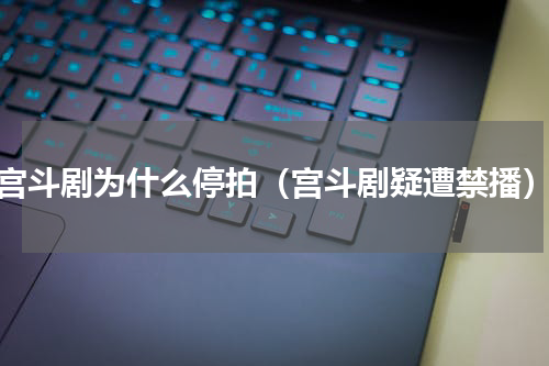 宫斗剧为什么停拍（宫斗剧疑遭禁播）