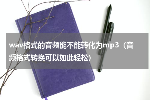 wav格式的音频能不能转化为mp3（音频格式转换可以如此轻松）