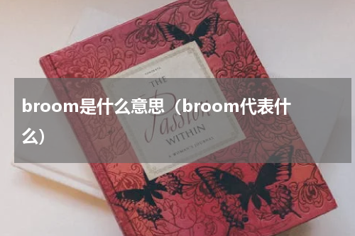 broom是什么意思（broom代表什么）