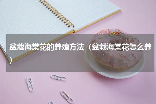 盆栽海棠花的养殖方法（盆栽海棠花怎么养）