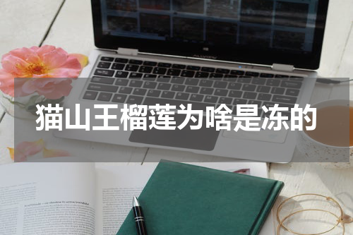 猫山王榴莲为啥是冻的