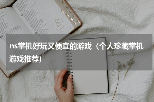 ns掌机好玩又便宜的游戏（个人珍藏掌机游戏推荐）