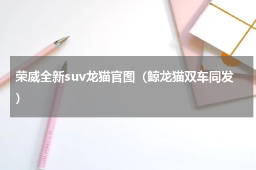 荣威全新suv龙猫官图（鲸龙猫双车同发）