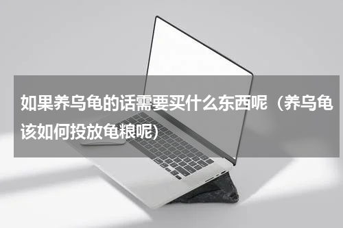 如果养乌龟的话需要买什么东西呢（养乌龟该如何投放龟粮呢）