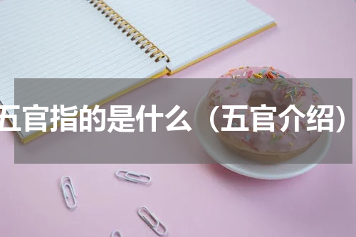 五官指的是什么（五官介绍）