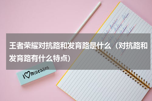 王者荣耀对抗路和发育路是什么（对抗路和发育路有什么特点）