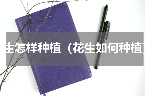 花生怎样种植（花生如何种植）