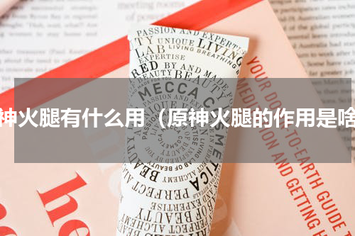 原神火腿有什么用（原神火腿的作用是啥）