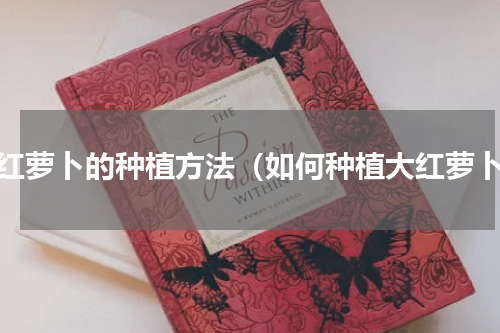 大红萝卜的种植方法（如何种植大红萝卜）