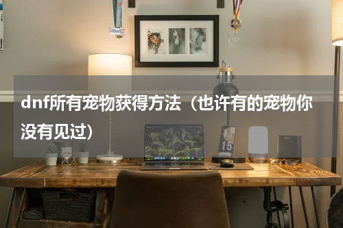 dnf所有宠物获得方法（也许有的宠物你没有见过）
