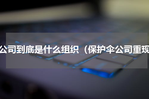 伞公司到底是什么组织（保护伞公司重现）