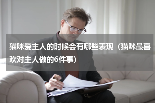 猫咪爱主人的时候会有哪些表现（猫咪最喜欢对主人做的6件事）
