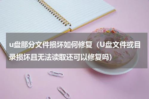 u盘部分文件损坏如何修复（U盘文件或目录损坏且无法读取还可以修复吗）