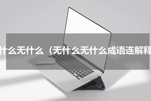 无什么无什么（无什么无什么成语连解释）