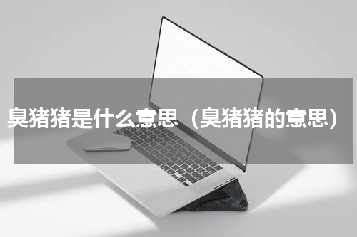 臭猪猪是什么意思（臭猪猪的意思）