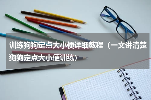 训练狗狗定点大小便详细教程（一文讲清楚狗狗定点大小便训练）