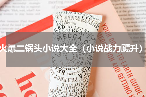 火爆二锅头小说大全（小说战力飃升）