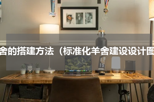 羊舍的搭建方法（标准化羊舍建设设计图）