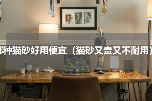 哪种猫砂好用便宜（猫砂又贵又不耐用）