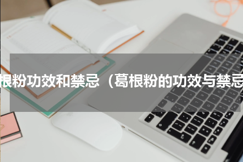 葛根粉功效和禁忌（葛根粉的功效与禁忌）