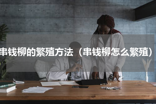 串钱柳的繁殖方法（串钱柳怎么繁殖）