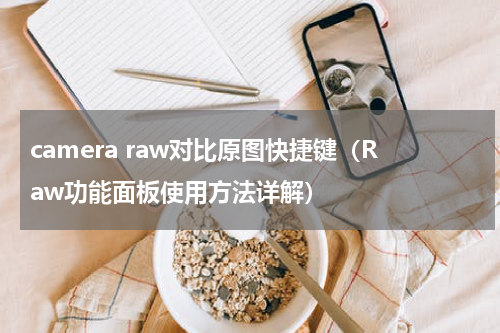 camera raw对比原图快捷键（Raw功能面板使用方法详解）
