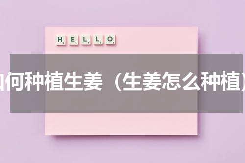 如何种植生姜（生姜怎么种植）