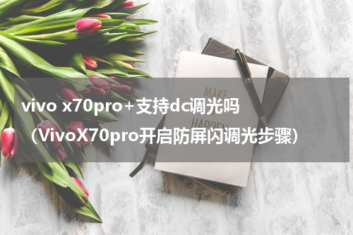 vivo x70pro+支持dc调光吗（VivoX70pro开启防屏闪调光步骤）