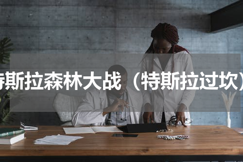 特斯拉森林大战（特斯拉过坎）