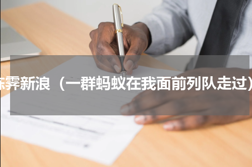 陈霁新浪（一群蚂蚁在我面前列队走过）