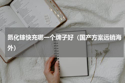 氮化镓快充哪一个牌子好（国产方案远销海外）