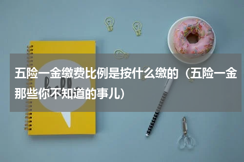 五险一金缴费比例是按什么缴的（五险一金那些你不知道的事儿）