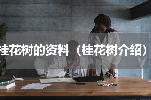 桂花树的资料（桂花树介绍）