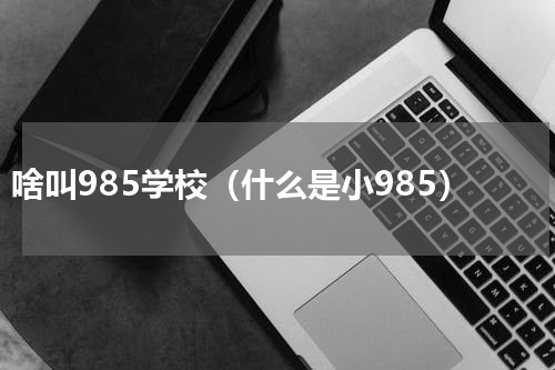 啥叫985学校（什么是小985）
