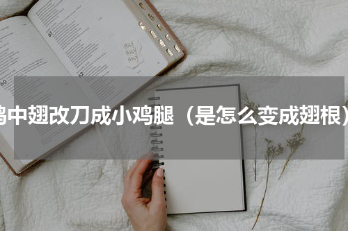 鸡中翅改刀成小鸡腿（是怎么变成翅根）