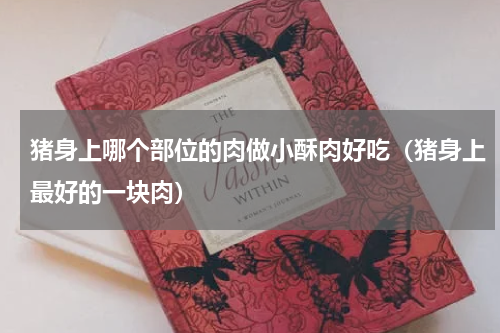 猪身上哪个部位的肉做小酥肉好吃（猪身上最好的一块肉）