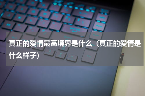 真正的爱情最高境界是什么（真正的爱情是什么样子）
