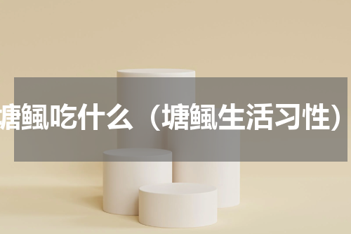 塘鲺吃什么（塘鲺生活习性）