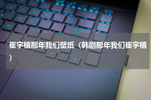 崔宇植那年我们壁纸（韩剧那年我们崔宇植）
