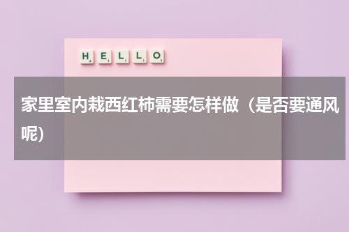 家里室内栽西红柿需要怎样做（是否要通风呢）