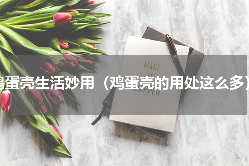鸡蛋壳生活妙用（鸡蛋壳的用处这么多）