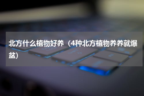 北方什么植物好养（4种北方植物养养就爆盆）