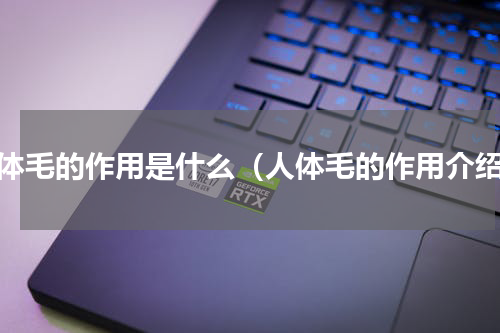 人体毛的作用是什么（人体毛的作用介绍）