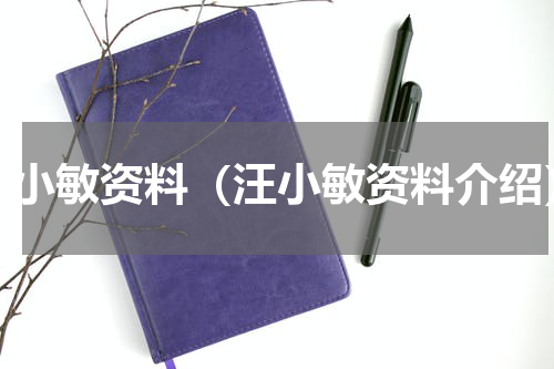 汪小敏资料（汪小敏资料介绍）
