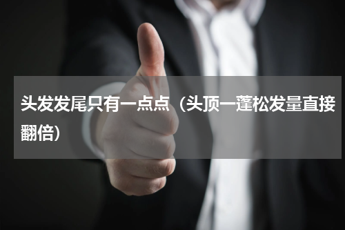 头发发尾只有一点点（头顶一蓬松发量直接翻倍）