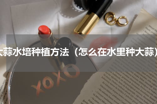 大蒜水培种植方法（怎么在水里种大蒜）