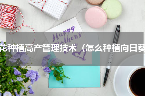 葵花种植高产管理技术（怎么种植向日葵）
