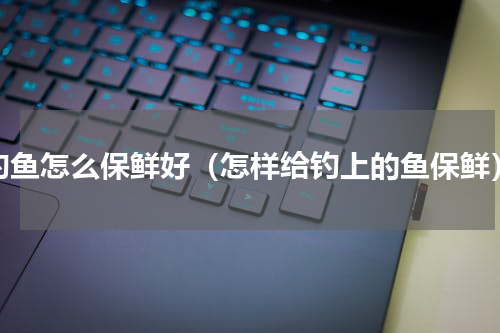 钓鱼怎么保鲜好（怎样给钓上的鱼保鲜）