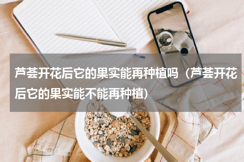 芦荟开花后它的果实能再种植吗（芦荟开花后它的果实能不能再种植）