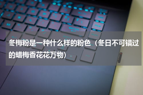 冬梅粉是一种什么样的粉色（冬日不可错过的蜡梅香花花万物）